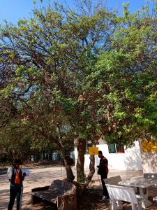 สำรวจทรัพยากรท้องถิ่นหมู่ที่ 4 บ้านสระน้อย