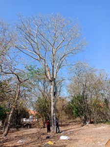 สำรวจทรัพยากรท้องถิ่นหมู่ที่ 4 บ้านสระน้อย